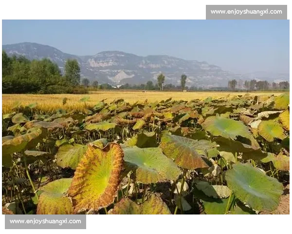 回望生涯里程中的选择坚持与时代同行的生命轨迹追寻个人价值与社会责任的篇章